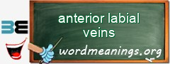 WordMeaning blackboard for anterior labial veins